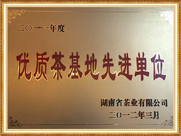 2011年度优质茶基地