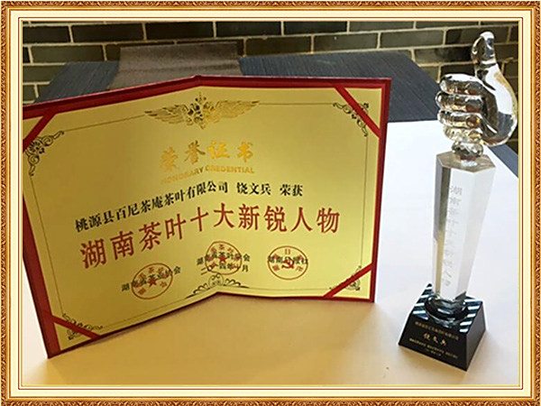 湖南茶叶十大叶新锐人物