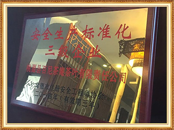 安全生产三级企业