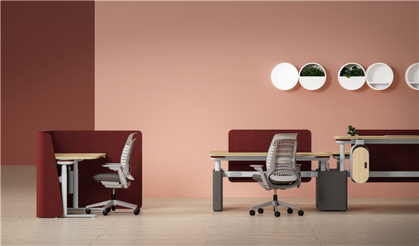 3 - Duplex Height-adjustable Bench and Lumin