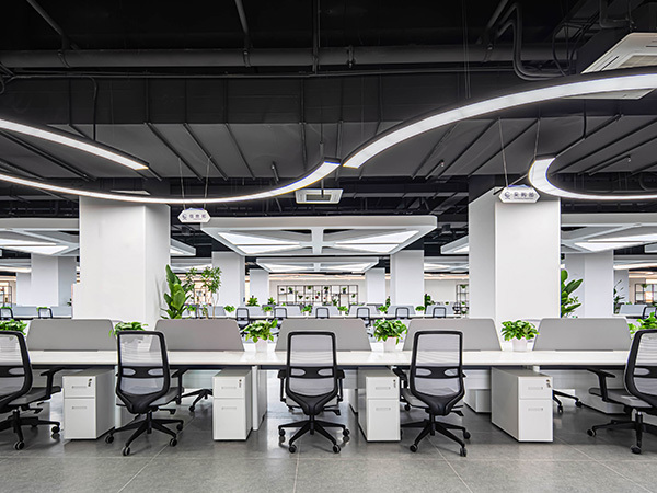 2024Vital 先导科技