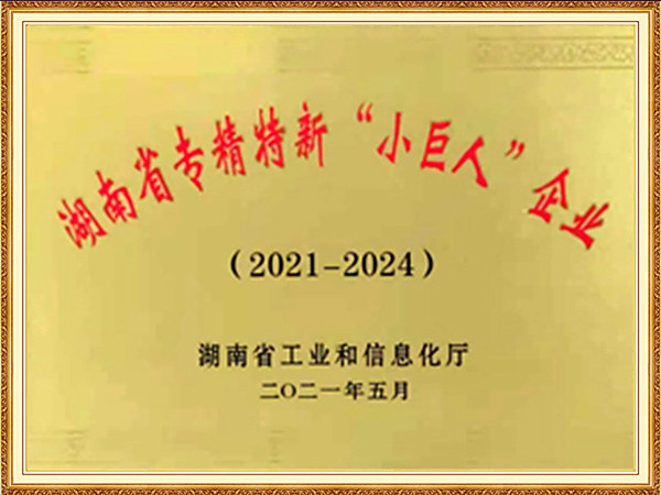 專精特新小巨人企業