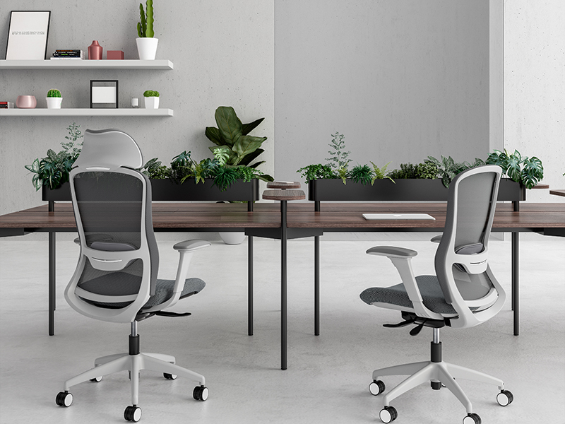 2 - Liquid and Longhouse Bench