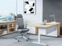 5 - Liquid with Headrest and Envolve Height-adjustable Desk (HAD)