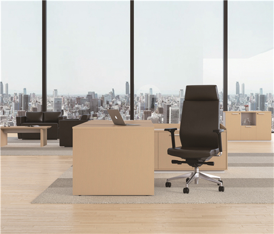 23 - Elise Executive Chair and Prime Executive Office