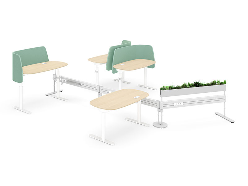 3 - Quay Double Spine (120D Mid Spine)_HG_TP03_TP11