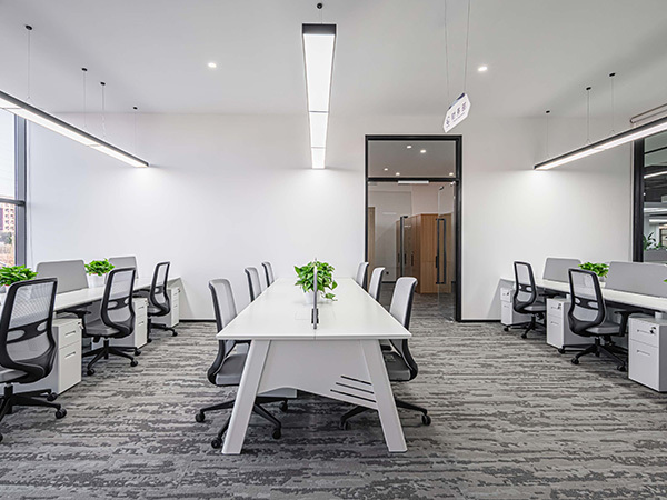 2024Vital 先导科技