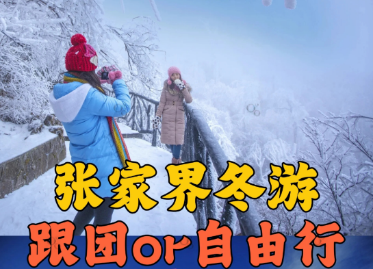 第一次去張家界旅游跟團好還是自己玩好?行程怎么安排?哪些必玩景點(diǎn)?需要多少錢(qián)？實(shí)用攻略大全【必看】