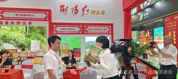 图片 15