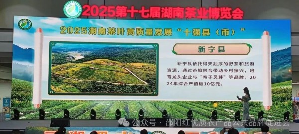 图片 7