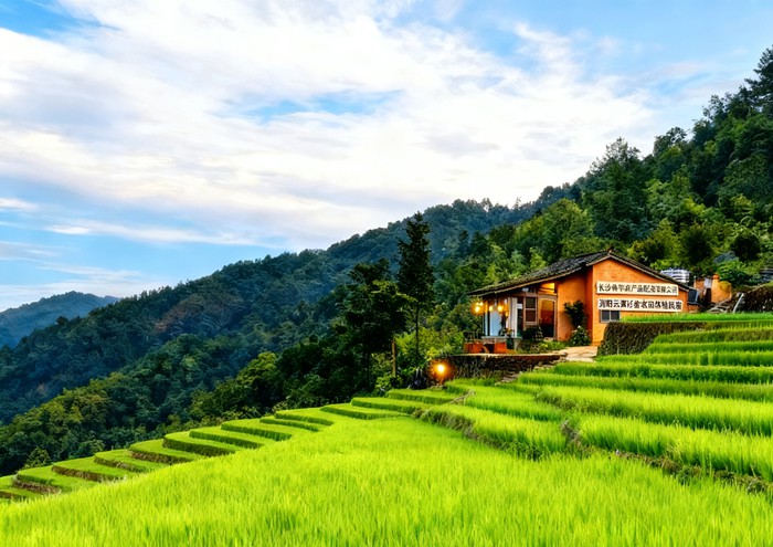 7142725c-d62f-4461-b4ed-200151 7142725c-d62f-4461-b4ed-200151