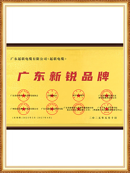 新锐品牌