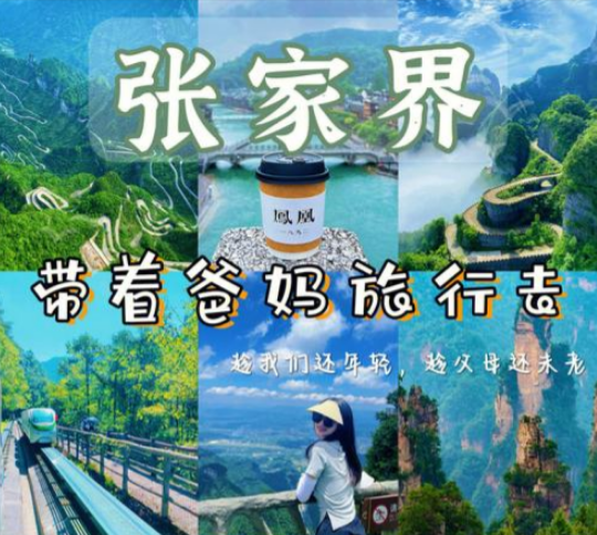 带父母去张家界