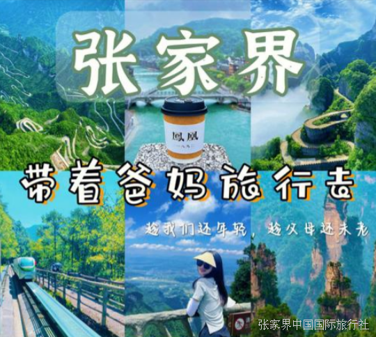 带父母去张家界