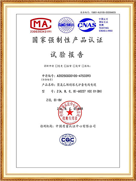 Z(A,B,C,D)-60227 IEC 01(BV) /Z(C,D)-BV