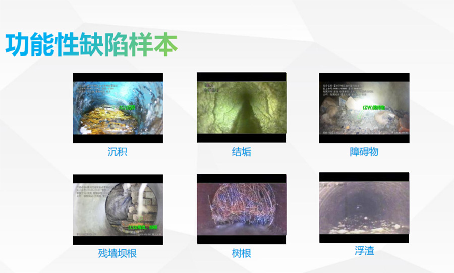 功能性缺陷样本