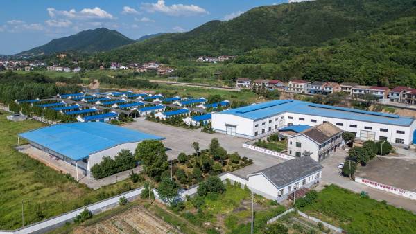 赖氏爆竹二工区