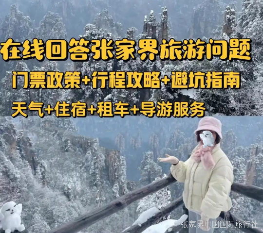 相关问题