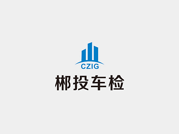 郴投车检