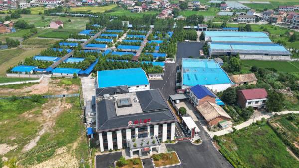 赖氏爆竹一工区