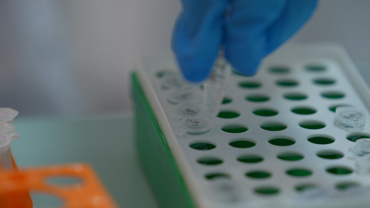 冻干工艺开发、冻干关键温度测定