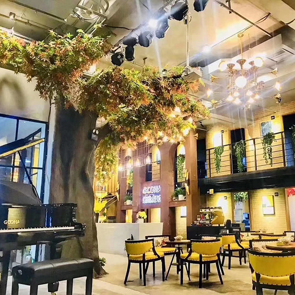 为什么越来越多的成年人学钢琴？