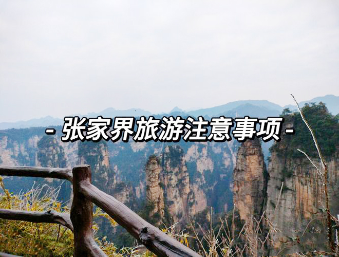 注意事项