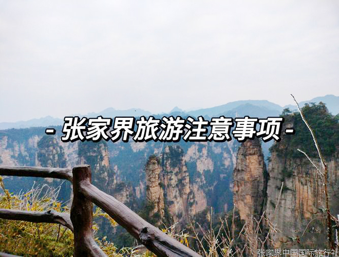 注意事项