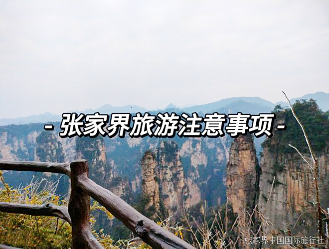 注意事项