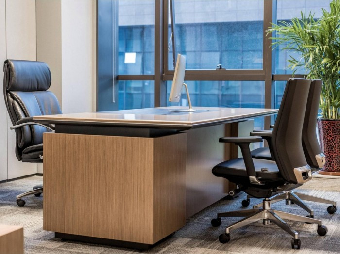 2021山东黄金--DMO-22