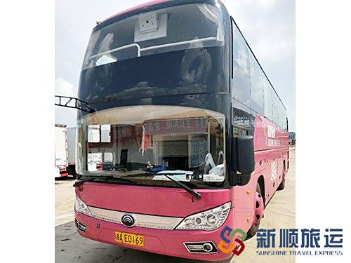 旅游大巴车