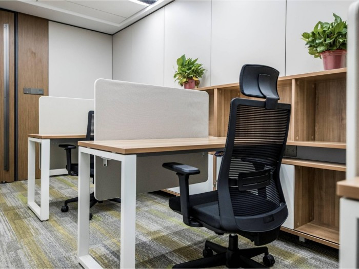 2021山东黄金--DMO-28