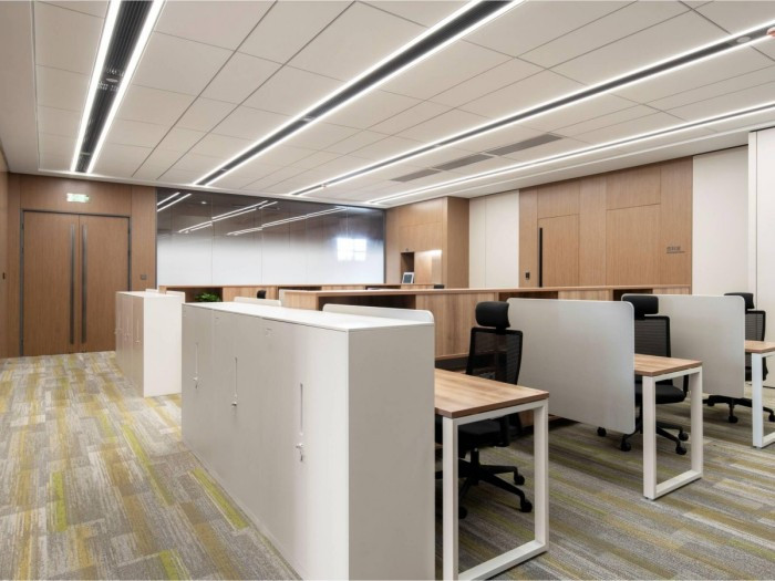 2021山东黄金--DMO-4