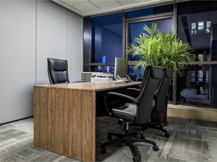 2021山东黄金--DMO-35