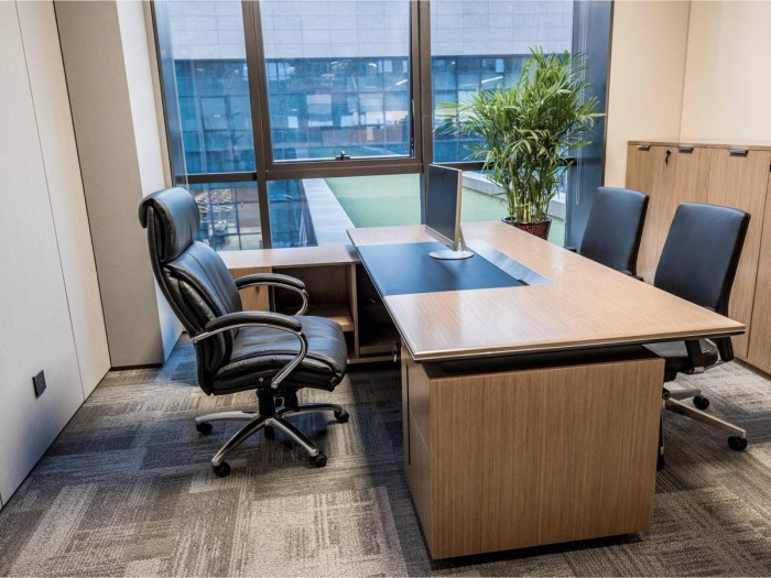 2021山东黄金--DMO-21