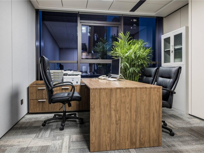 2021山东黄金--DMO-34