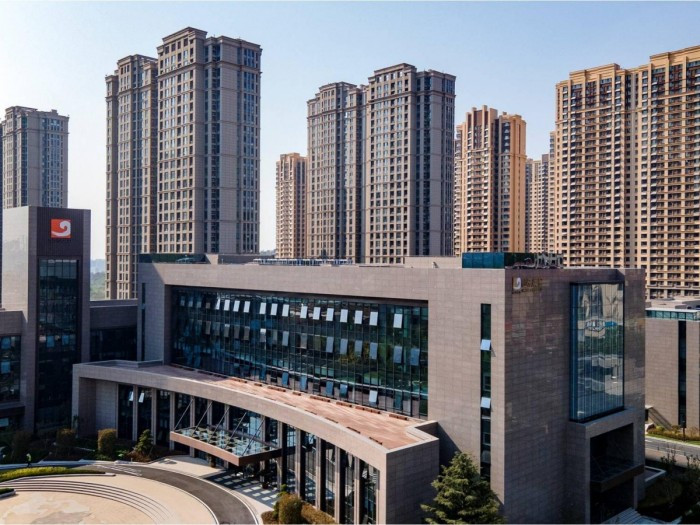 2021山东黄金--DMO-46