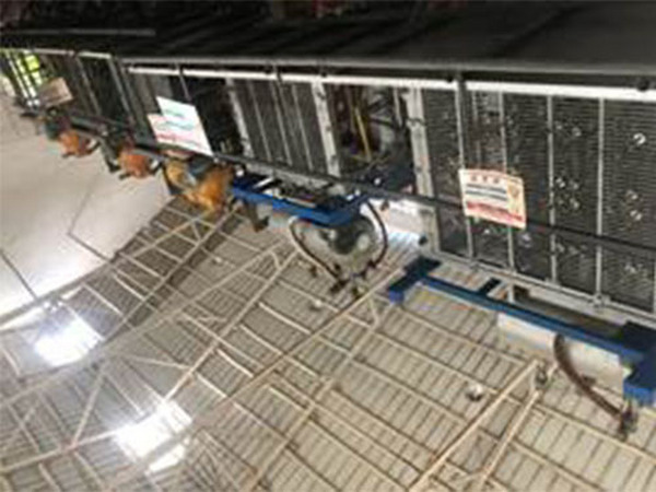 全自动成型机（机型1400#,1750#，适用于大批量订单需求的客户）