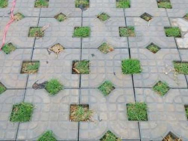 植草砖5