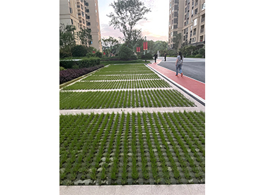 植草砖