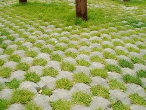 植草砖停车位