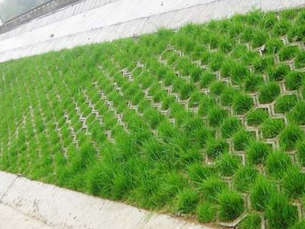 六边型植草砖