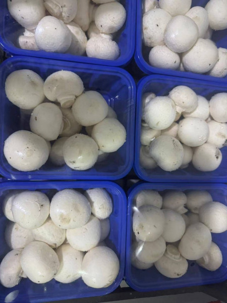 总结口碑好的农产品批发公司特点，长沙帝华安全及时有保障