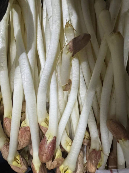 农产品配送公司价格对比，长沙帝华一站式服务费用多少