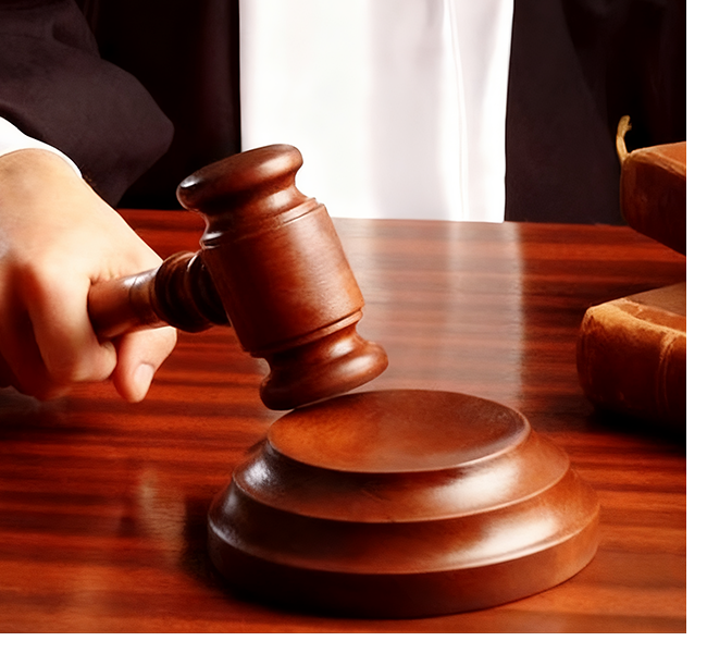 内页公司简介配图