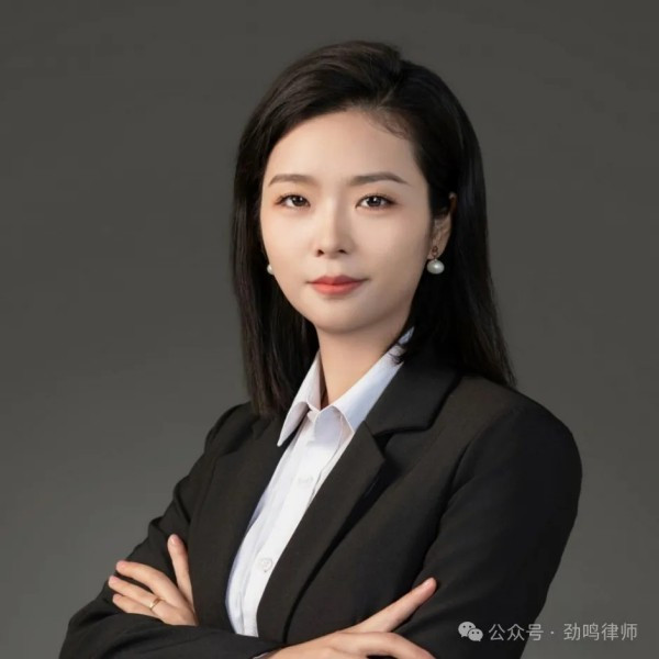 湖南劲鸣律师事务所,专业化分工,团队作战的律师事务所