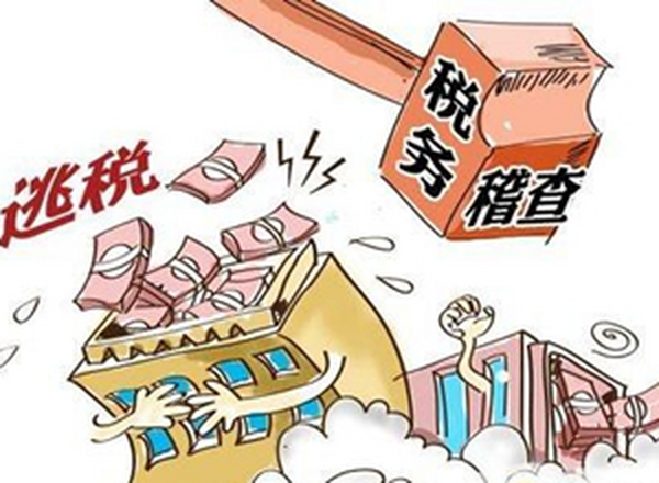 鲁某涉嫌逃税案