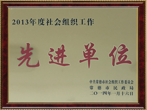 2013年度社会组织工作先进单位