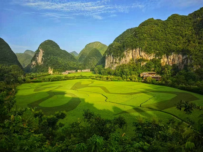 湖南劲鸣律师事务所,专业化分工,团队作战的律师事务所