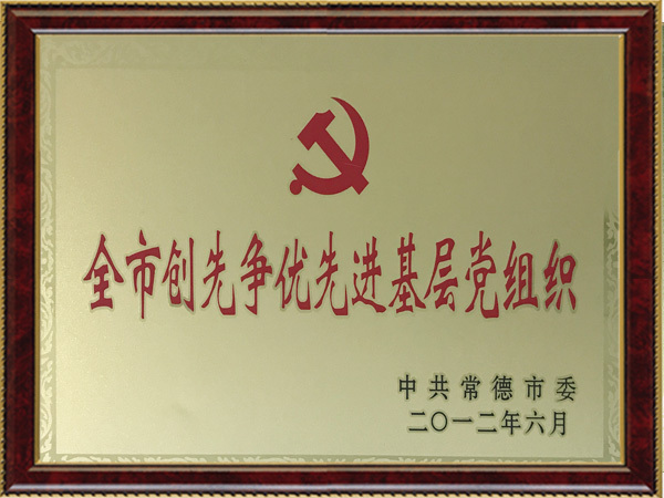 全市创先争优先进基层党组织